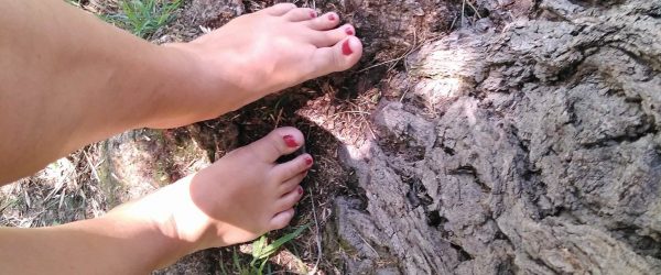 26194219_10214581587954052_1138868028_o